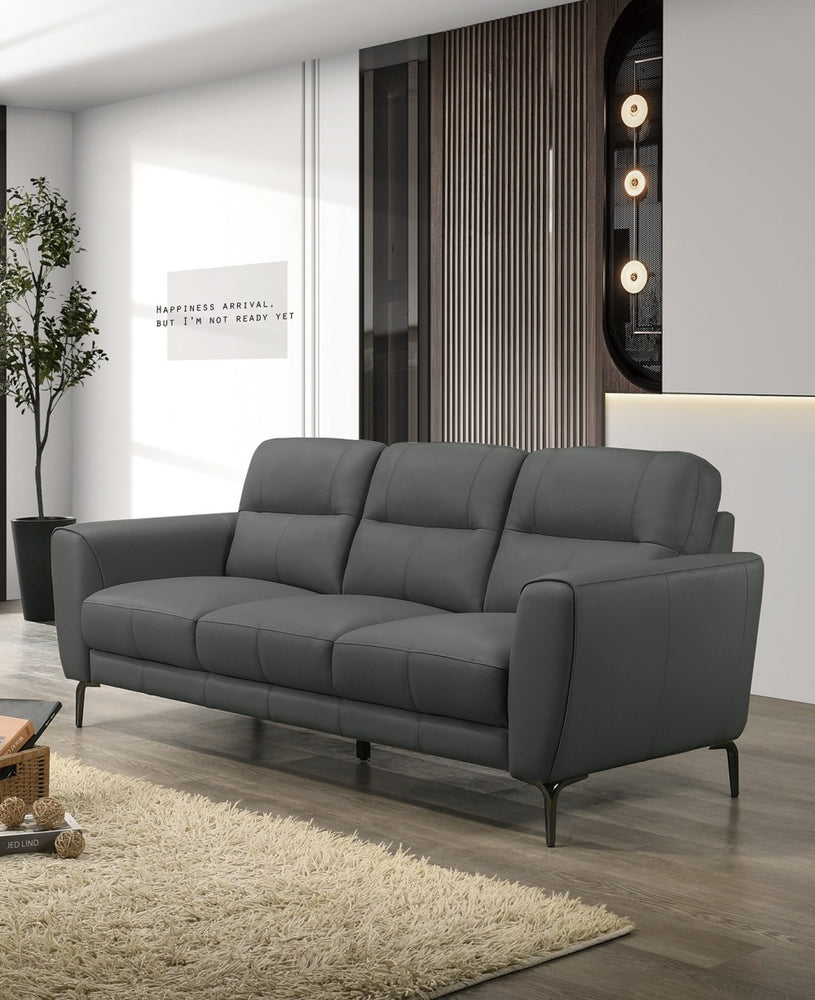 Anthracite Gray Top Grain Leather 2pc Sofa Set Sofa And Loveseat Contemporary Living Room Furniture Full Leather Couch