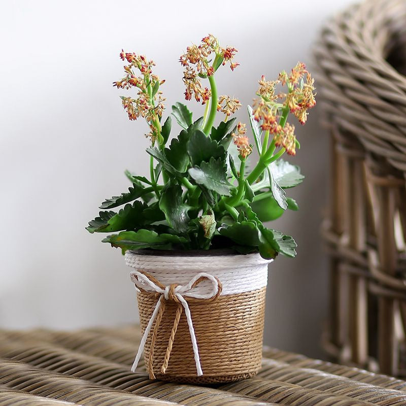 Paper Rope Woven Flower Pot Japanese Style Balcony Vase Waterproof Pot Indoor Decorative Flower Pot Green Plant Flower Basket