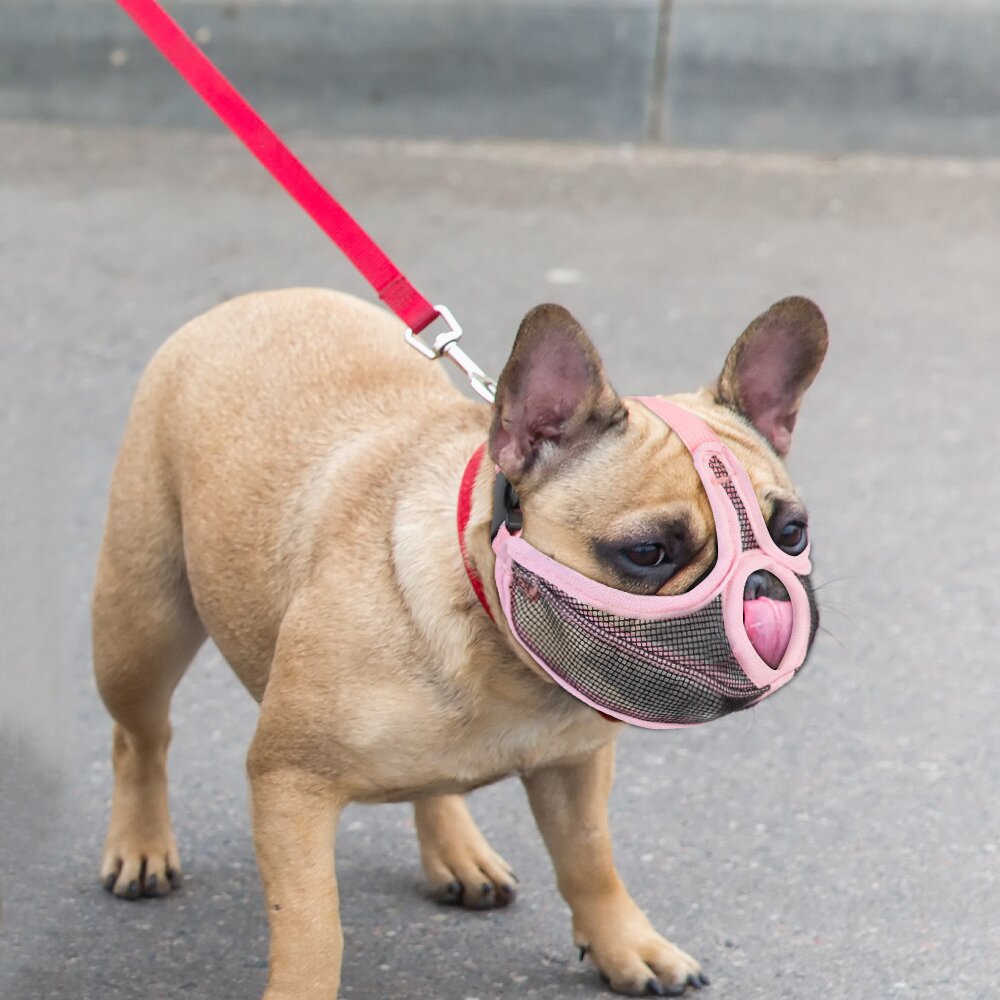 Short-mouth Dog Mouth Cover Anti-bite Method Dou Bago Bulldog Special Mouth Cover Anti-picking Pet Mask