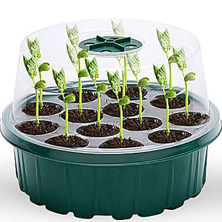 13-Hole Round Seedling Box Seeds Grow Tray Seedling Box Plate Bean Sprouts Flower Seedling Vegetable Seed Hydroponic Plate