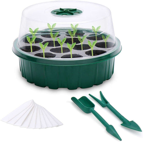 13-Hole Round Seedling Box Seeds Grow Tray Seedling Box Plate Bean Sprouts Flower Seedling Vegetable Seed Hydroponic Plate